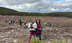 Eskişehir’de anlamlı etkinlik: Şehitler için 450 fidan dikildi