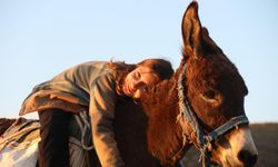 Eskişehir’in küçük çobanı: Ayşe Yaren’in eşeğiyle koyun güttüğü ilham veren hikâye