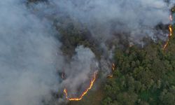 Artvin’deki orman yangını söndürüldü, soğutma çalışmaları sürüyor