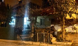 Tüfekle oynarken kız arkadaşını öldüren çocuk dağda yakalandı