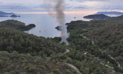 Muğla'da orman yangını