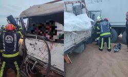 Yoldan çıkan sürücü seyir halindeki tıra çarptı