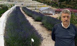 Türkiye'nin en zengin tıbbi aromatik merkezi Eskişehir'de