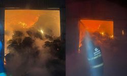 Eskişehir'de yangında bir çiftlik kül oldu