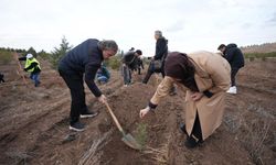 Eskişehirli TUSAŞ şehidi Muharrem Can anısına hatıra ormanı oluşturuldu