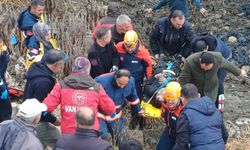 Araç bataklığa uçtu: 5 yaralı