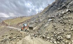 Şiddetli yağışlarla birlikte bazı köy ve mezra yolları ulaşıma kapandı