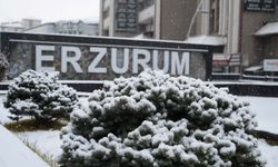 Erzurum güne karla başladı