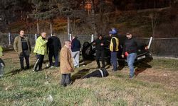 Eskişehir'de otomobil kontrolden çıktı: Faciayı kıl payı atlattı