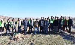 Eskişehir'de bin adet fidan toprakla buluştu