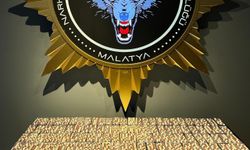 3 bin 644 sentetik ecza ele geçirildi: 3 tutuklama