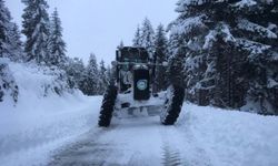 Ordu'da karla mücadele