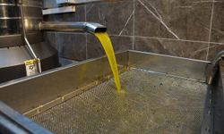 Zeytinyağı fiyatları belli oldu, fiyatlarda artış yaşandı