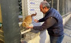 Hayvan dostu taksi durağı Eskişehir’de örnek oluyor