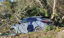 Kontrolden çıkan otomobil ağaçlık alana devrildi