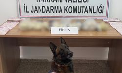 5 kilo 815 gram yasaklı madde ele geçirildi