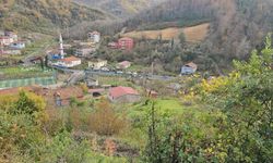 Hasta ziyaretinden dönerken annesiyle kurşunların hedefi oldu