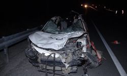 Kaçan yarış atları karayoluna çıktı: 6 at telef oldu, 2 kişi yaralandı