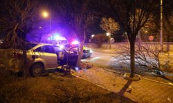 Kontrolden çıkan otomobil ağaca çarptı: 2 yaralı