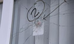 Bir kadının öldüğü, bir çocuğun ağır yaralandığı saldırının altında "sosyal medya paylaşımı" olduğu ileri sürüldü