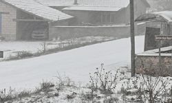 Eskişehir'in kırsalı beyaza büründü