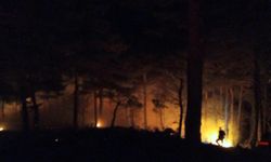 Mersin'de çıkan orman yangını kontrol altına alındı