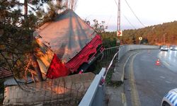 Kamyonet kontrolden çıktı: Faciayı ağaçlar önledi