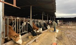 Eskişehir'de borcunu ödeyen çiftçiye haciz şoku