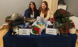 Duyguların ortak rengi: İki akademisyen yazardan şiirin "Bam teli" üzerine