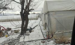 Eskişehir’de dondurucu soğukta seralar buz tuttu: Çiftçiler zor anlar yaşadı!