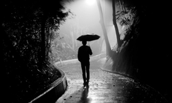 Rüyada karanlık ormanda yürümek ne anlama geliyor?