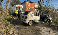 Otomobil fındık bahçesine devrildi