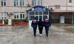 Üç yıl saklandı, kilerde yakalandı