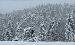 Sibirya soğukları kapıya dayandı: Bazı illerde kar yağışları başladı