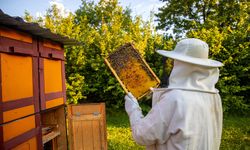 Eskişehir’in bal yolculuğu Avrupa’ya uzandı: bestHONEY Barselona’da