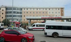 Diyarbakır’da damat katliamı