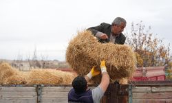 Eskişehir'in o ilçesinde 24 çiftçiyi sevindiren 16,6 tonluk sürpriz!