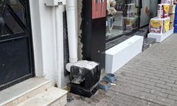 Eskişehir’de kedi kulübelerine yazılı önlem