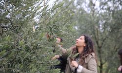 Eskişehir'de gençler o ilçede doğayla ve üretimle buluştu!