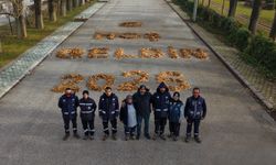 Eskişehir'de o parkta binlerce yaprakla mesaj: "Hoşgeldin..."