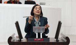 CHP’li Süllü: “Kantarın topu kaçtı, bütçede de memlekette de denge kalmadı”