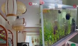 Japonya’da 6.7 büyüklüğünde deprem meydana geldi, tsunami uyarısı yapıldı