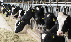 Üreticiye can suyu Eskişehir’den geldi: Han ve Mahmudiye’de 15 tonluk dev destek