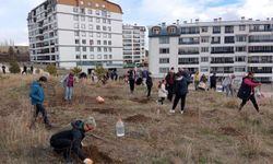 Terrace Park Sitesi’nden Örnek Bir Girişim!