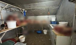 Çifteler’de kaçak at kesimine şok baskın: O işletme mühürlendi!