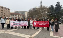 Sibel Erenoğlu: "Kadınlar mecliste hala azınlıktalar!"