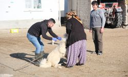 2025’te kırsala büyük destek: 725 dekar üretim, tonlarca yem desteği!