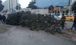 Bahçelievler’de şiddetli rüzgar nedeniyle ağaç devrildi: 1 kişi altında kaldı