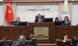 Tepebaşı Belediyesi ocak ayı meclis toplantısı yapıldı