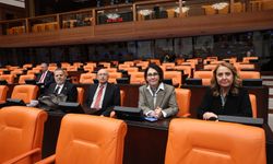 CHP’li Çakırözer: “Emekliye 20 bin liralık sefalet ücretini dayatanlara yazıklar olsun!”